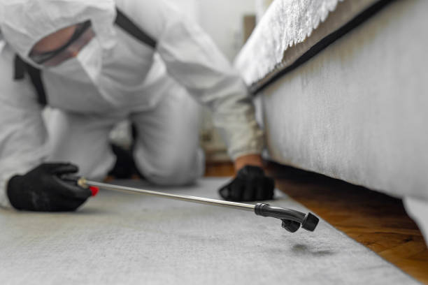 Professional Bed Bug Control technician working in Montevallo, AL