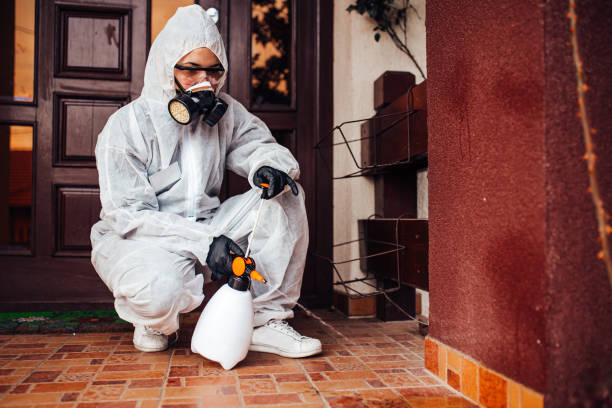 Reliable Bed Bug Control contractor in Montevallo, AL by Nex Pest Control