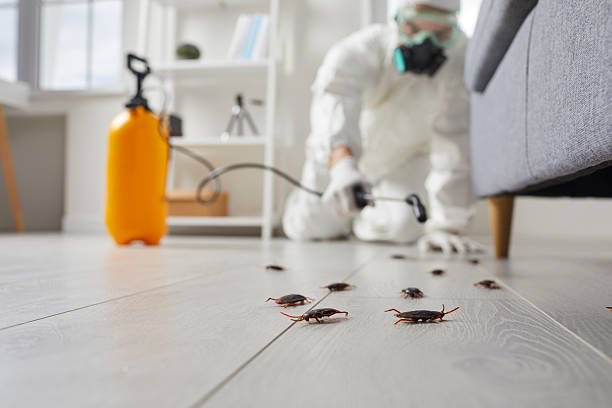 Trusted Cockroach Control service in Montevallo, AL - Nex Pest Control