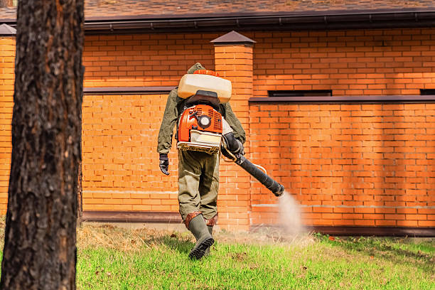 Trusted Bed Bug Control service in Montevallo, AL - Nex Pest Control